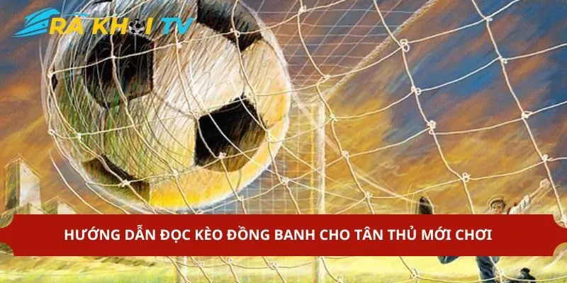 Hướng dẫn đọc đơn giản